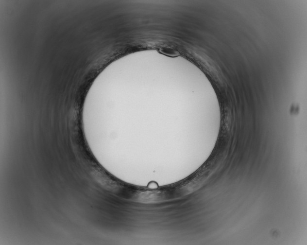 X0000100380461200807031929