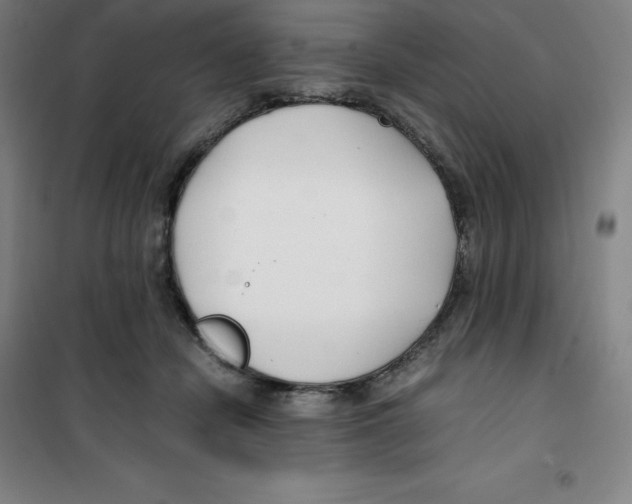 X0000100380462200807031929