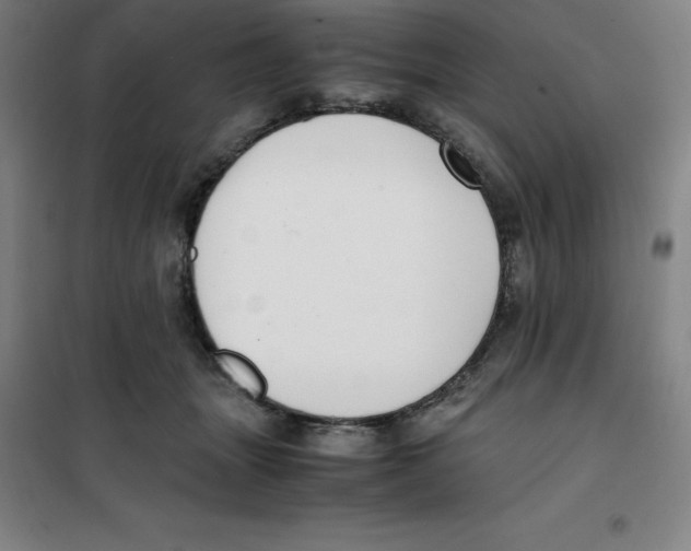 X0000100380463200807031929