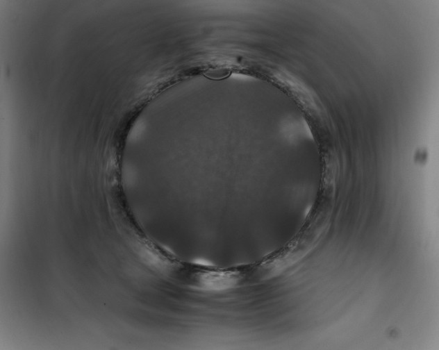 X0000100380465200807031929