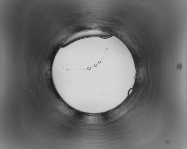 X0000100380466200807031929
