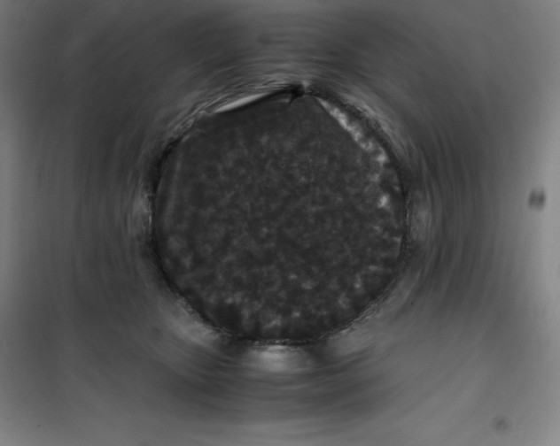 X0000100380467200807031929
