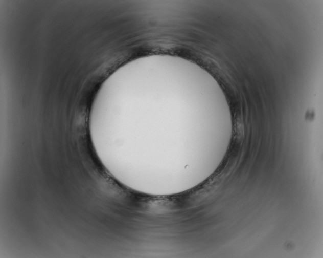 X0000100380468200807031929