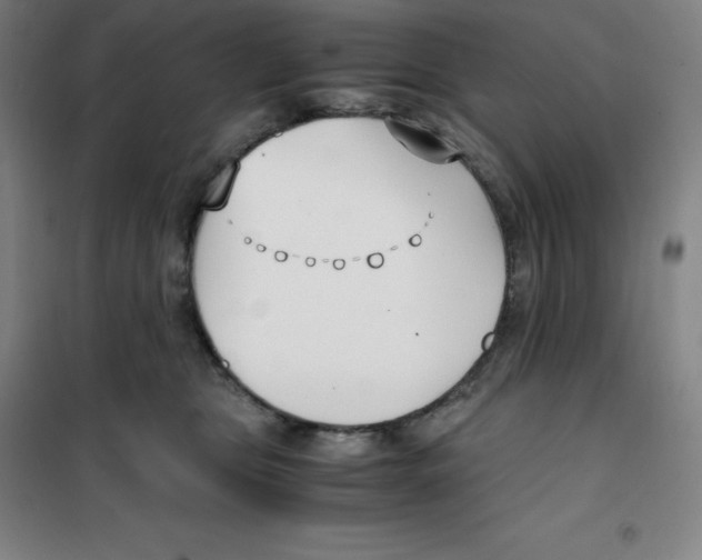 X0000100380469200807031929