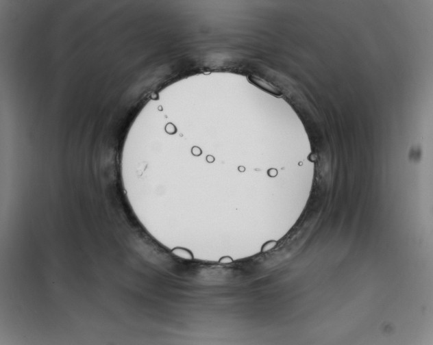 X0000100380470200807031929