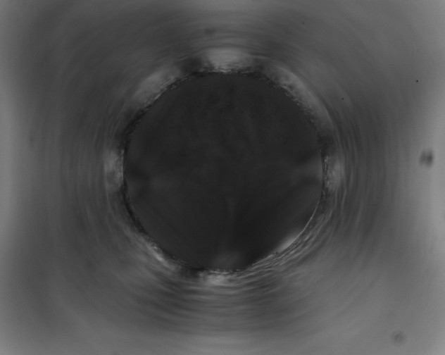 X0000100380471200807031930