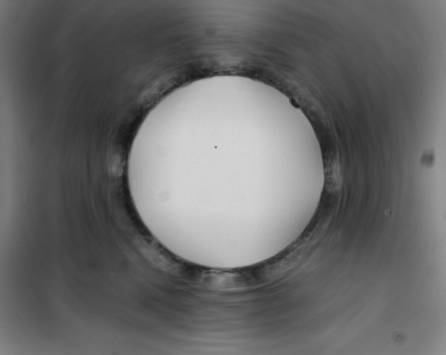 X0000100380472200807031930