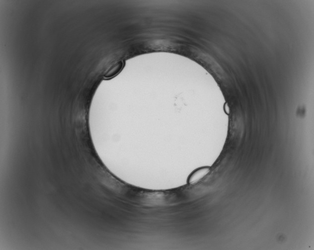 X0000100380473200807031930