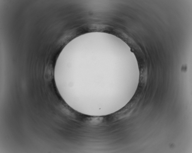 X0000100380474200807031930