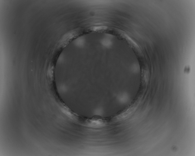 X0000100380475200807031930