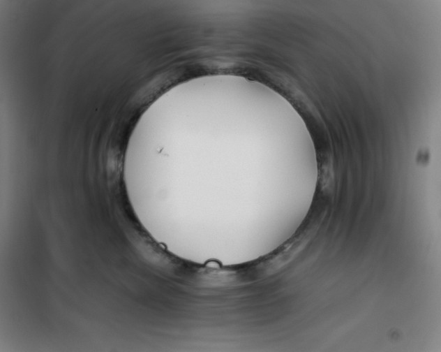 X0000100380476200807031930
