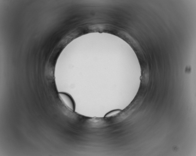 X0000100380477200807031930