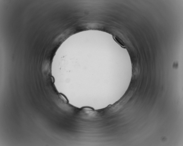 X0000100380478200807031930