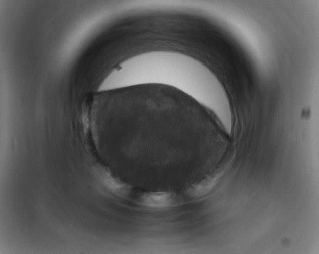 X0000100380479200807031930