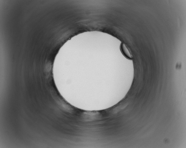 X0000100380480200807031930