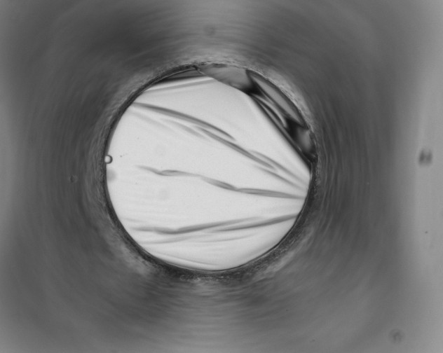 X0000100380481200807031929