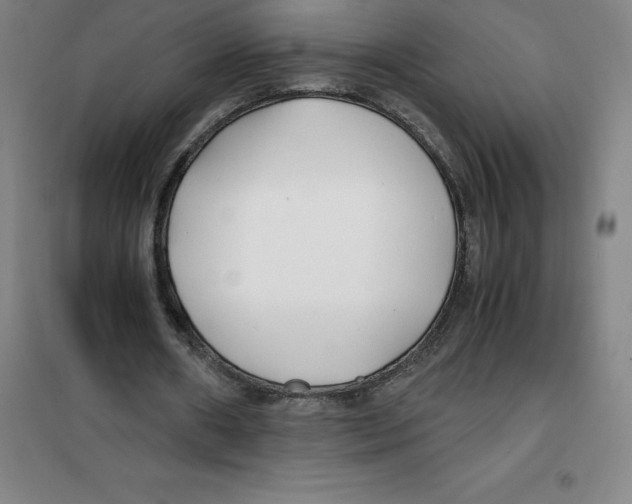 X0000100380482200807031929