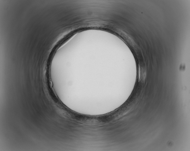 X0000100380483200807031929