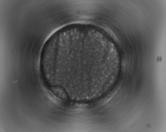 X0000100380484200807031929