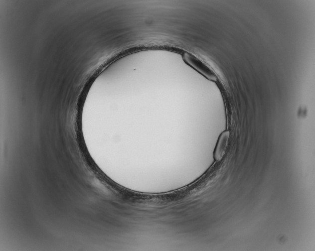 X0000100380485200807031929