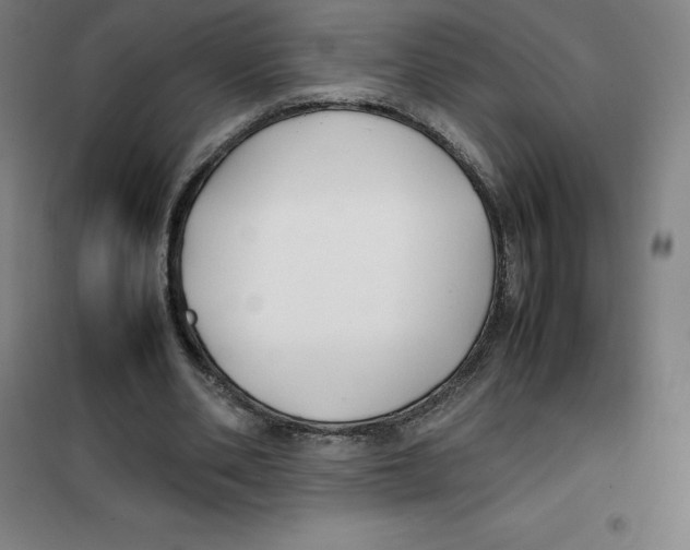 X0000100380486200807031929