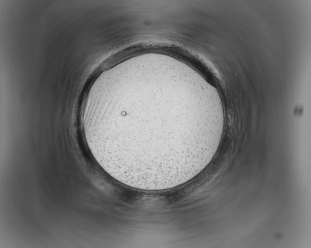 X0000100380487200807031929