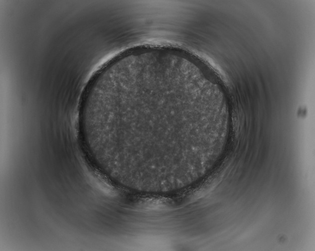 X0000100380488200807031929