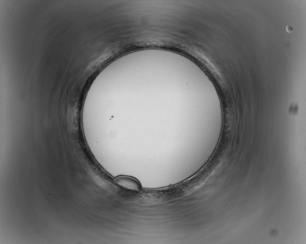 X0000100380489200807031929