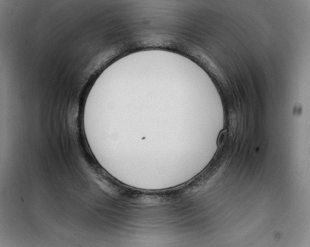 X0000100380490200807031929
