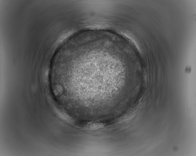 X0000100380491200807031929