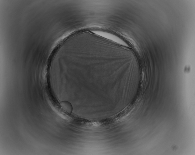 X0000100380492200807031929