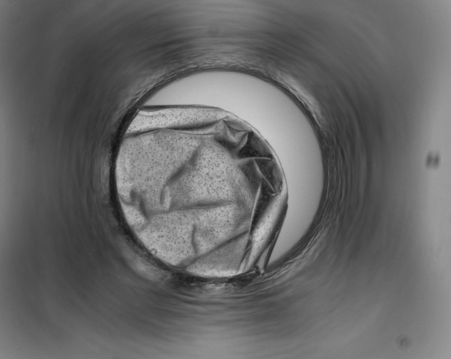 X0000100380493200807031929