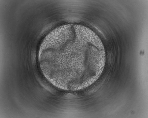 X0000100380494200807031929