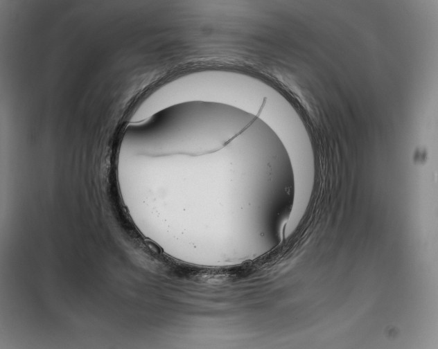 X0000100380495200807031929