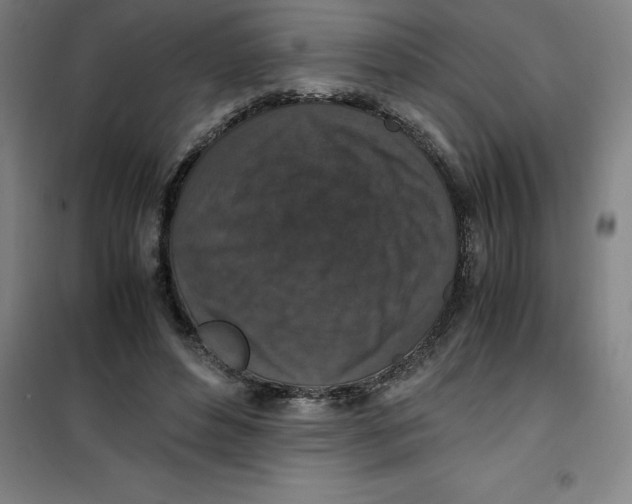 X0000100380496200807031929