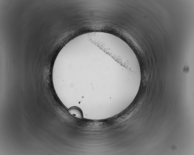 X0000100380497200807031929