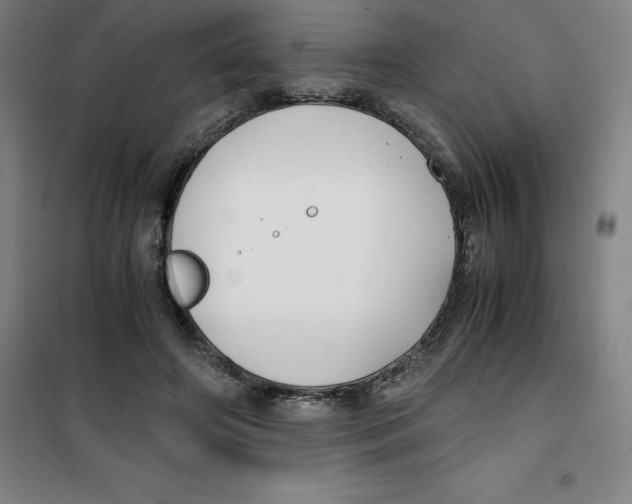 X0000100380498200807031928