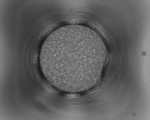 X0000100380499200807031928