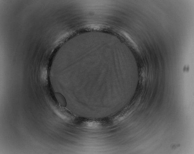 X0000100380500200807031928