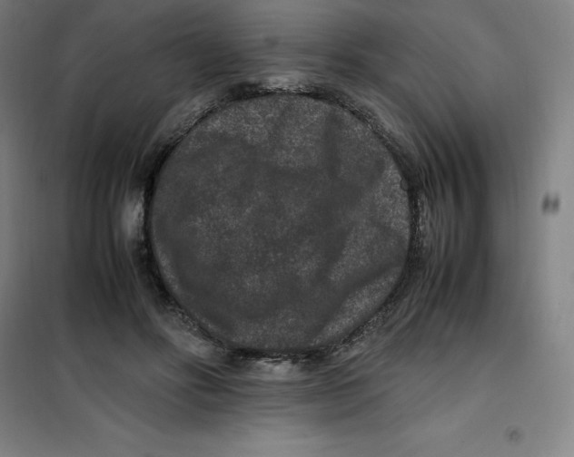 X0000100380502200807031928