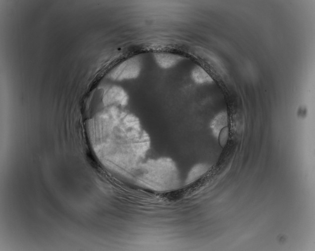 X0000100380503200807031928