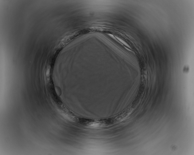 X0000100380504200807031928