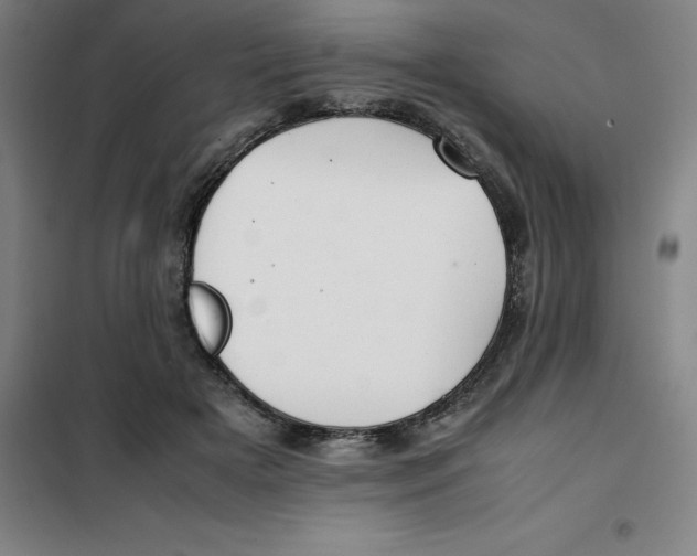 X0000100380505200807031928