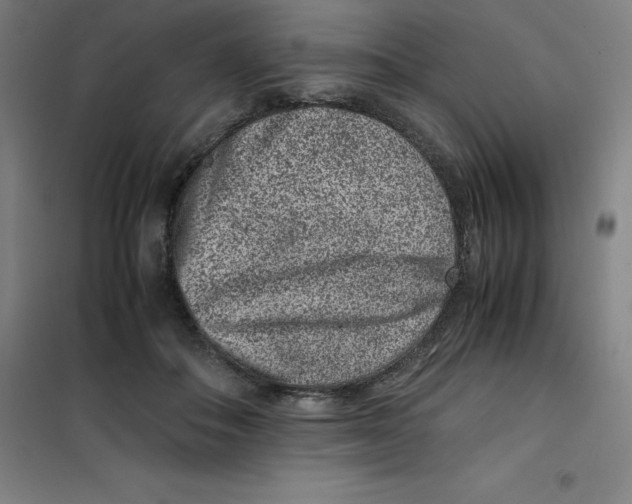 X0000100380506200807031928