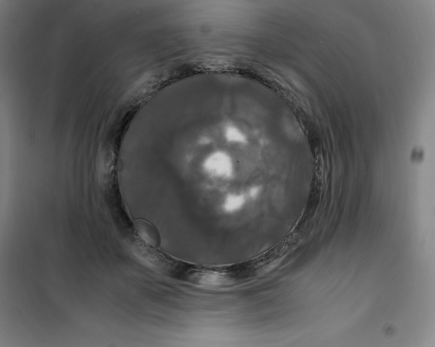 X0000100380507200807031928