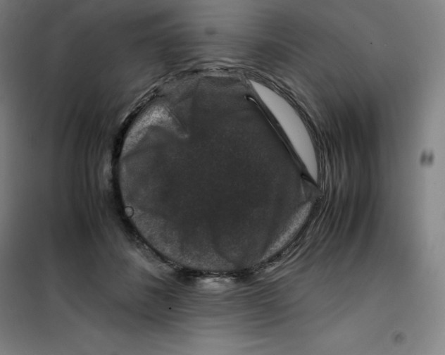 X0000100380508200807031928