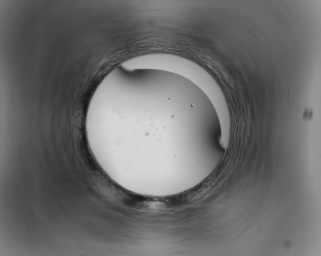 X0000100380509200807031928
