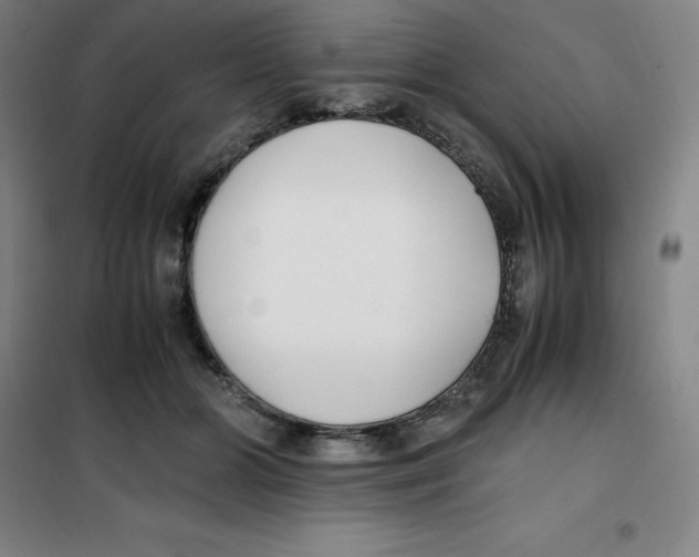 X0000100380510200807031928
