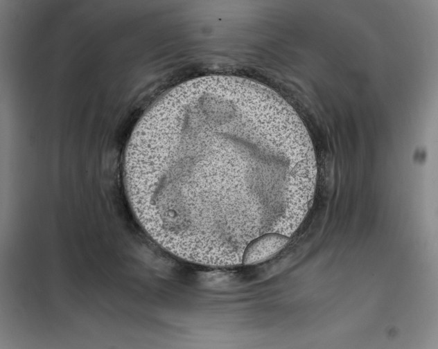 X0000100380511200807031928