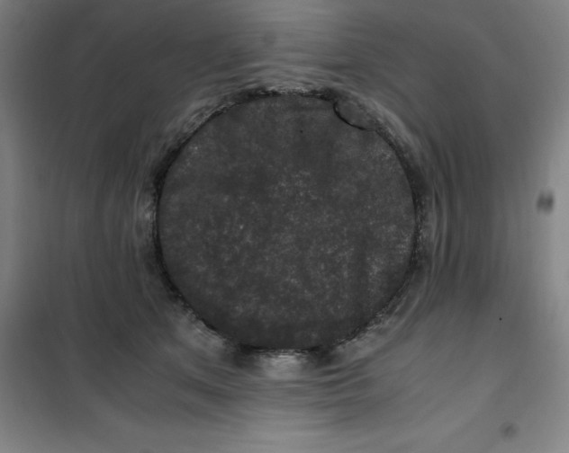 X0000100380513200807031928